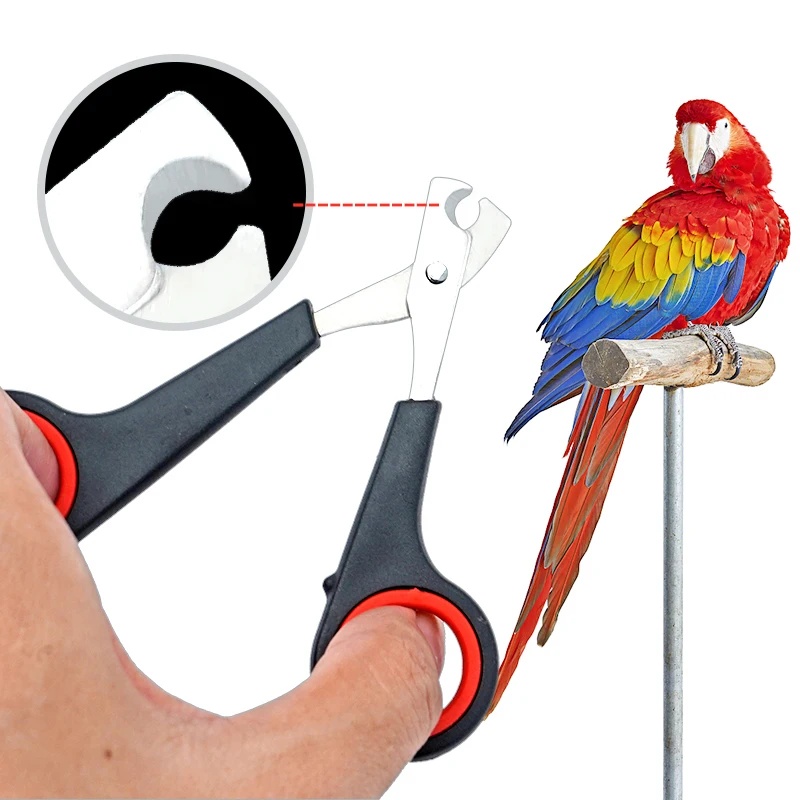 Grooming Scissors - Ciseaux à ongles pour animaux de
